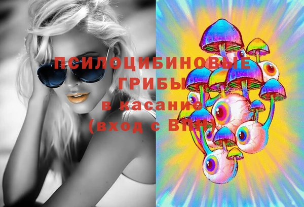 прущие грибы Алексеевка