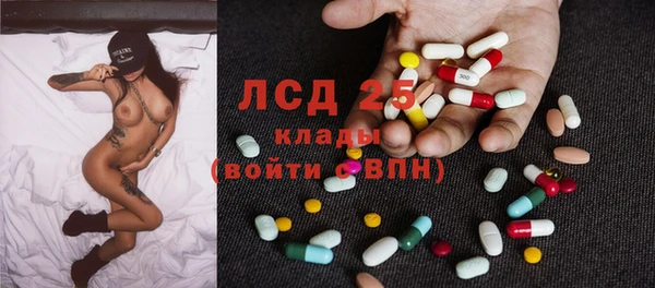 ПСИЛОЦИБИНОВЫЕ ГРИБЫ Алексин